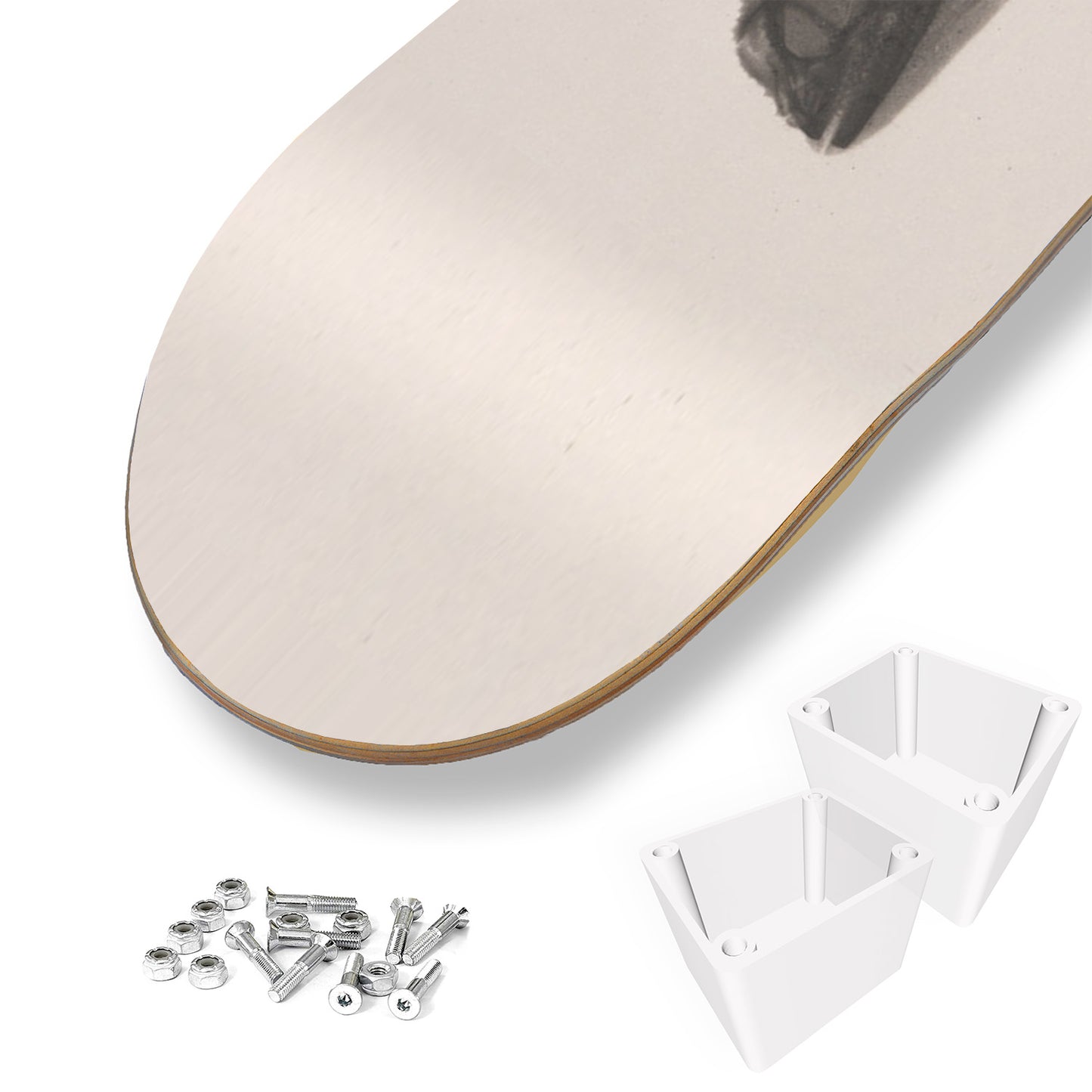 X-Ray Photo Skateboard Wall Art - ‘Chameleon’