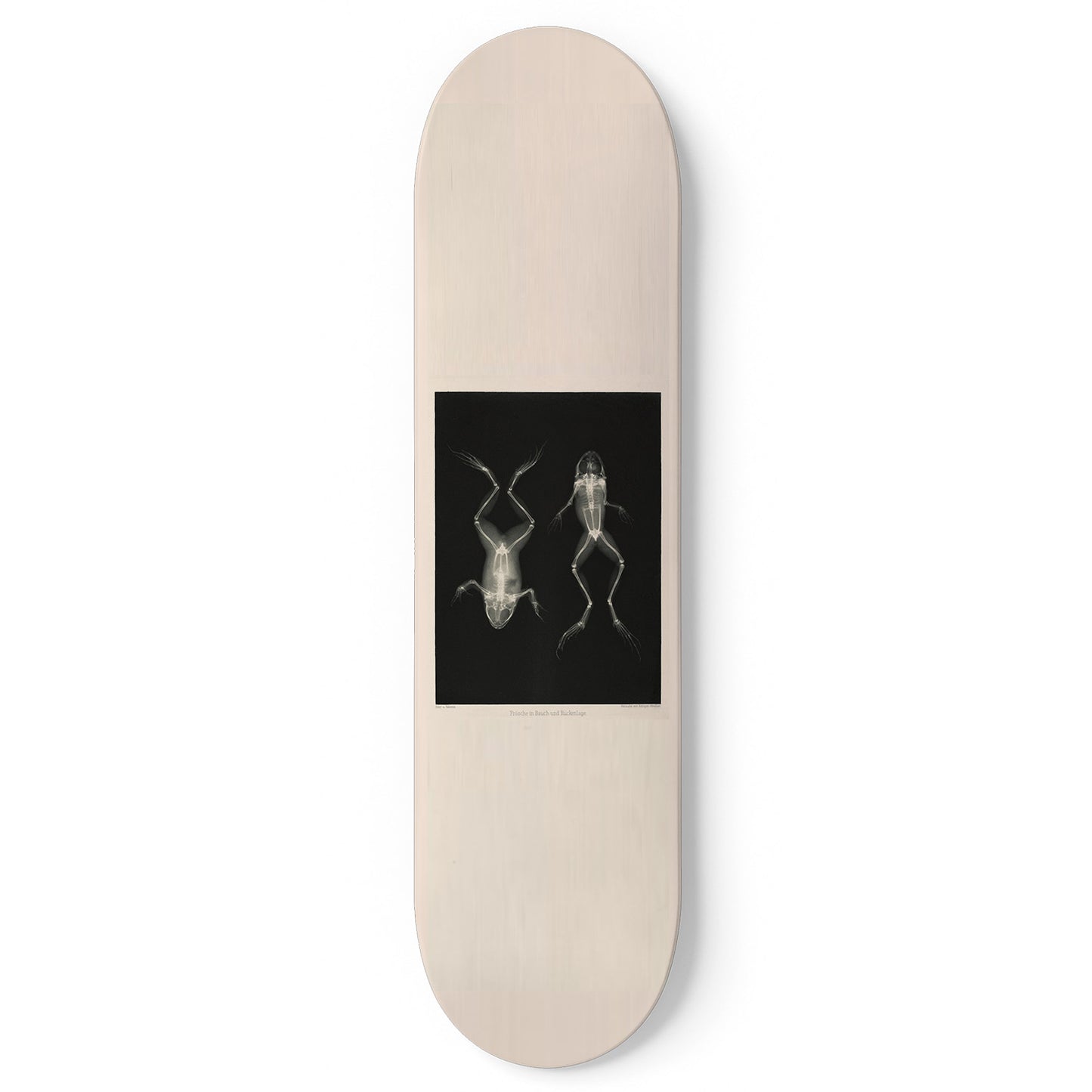 XRay 1 Piece Skateboard Wall Art Decor Set