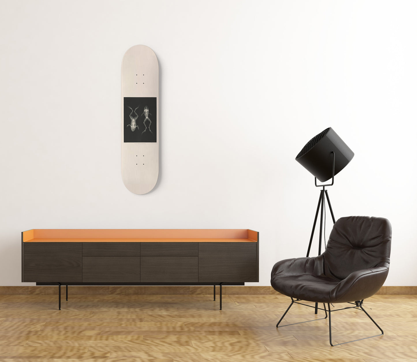 X-Ray Photo Skateboard Wall Art - ‘Frog’