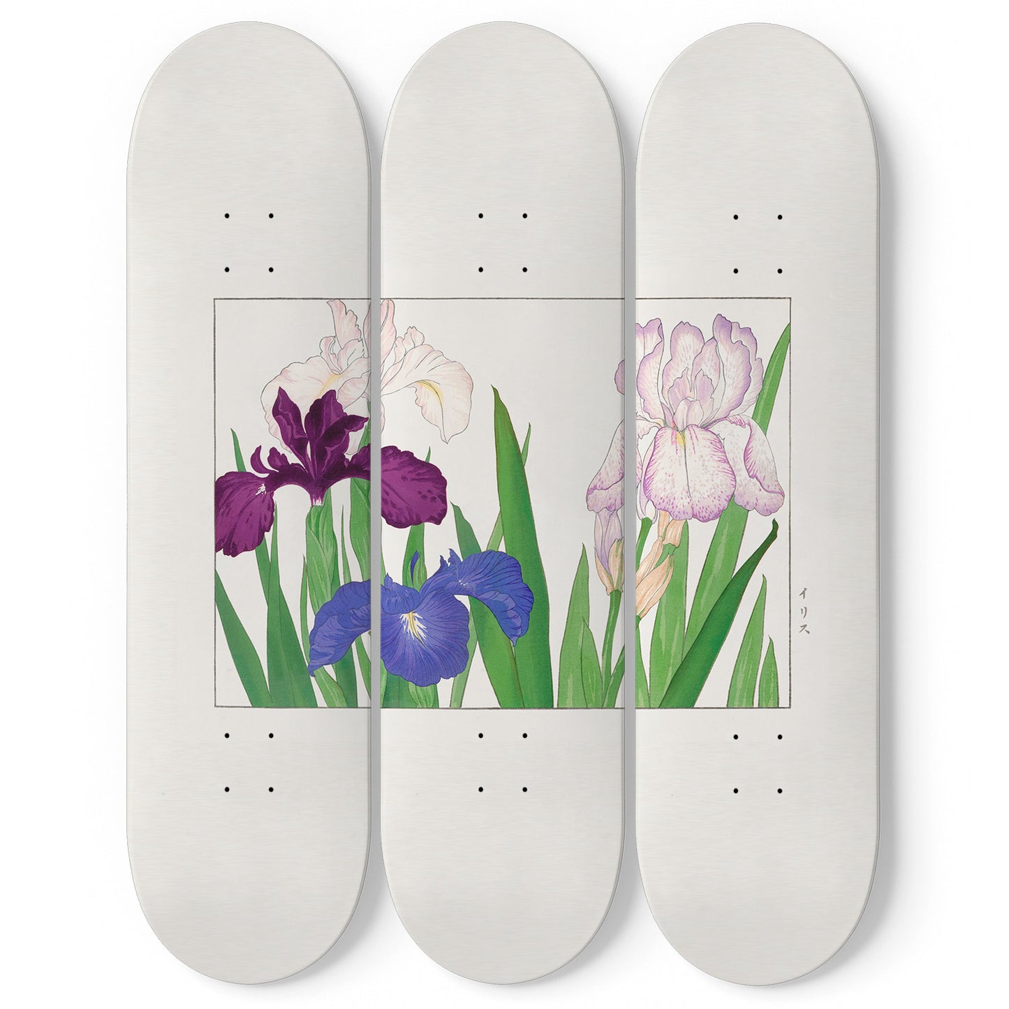 Japanese 3 Piece Skateboard Wall Art Decor Set
