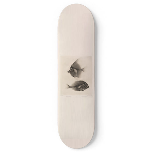 XRay 1 Piece Skateboard Wall Art Decor Set