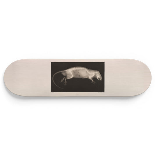 XRay 1 Piece Skateboard Wall Art Decor Set