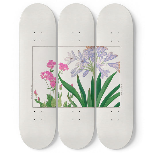 Japanese 3 Piece Skateboard Wall Art Decor Set