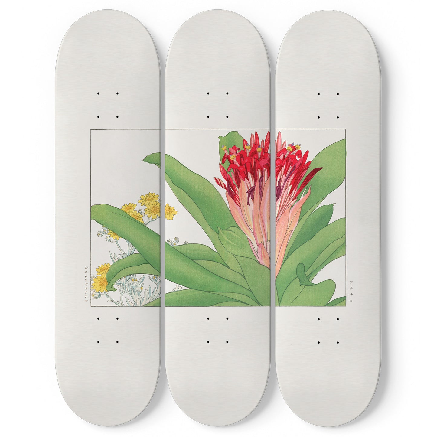 Japanese 3 Piece Skateboard Wall Art Decor Set