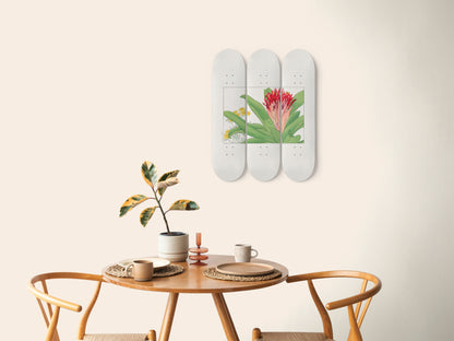 Kônan Tanigami Japanese Woodblock 3-Piece Skateboard Wall Art - 'Ananas Flower'