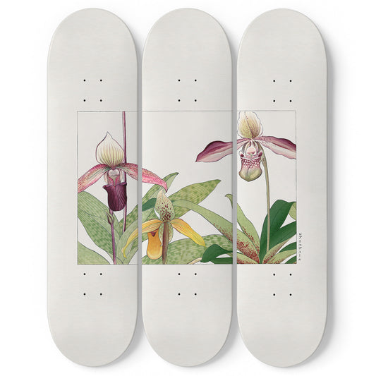 Japanese 3 Piece Skateboard Wall Art Decor Set