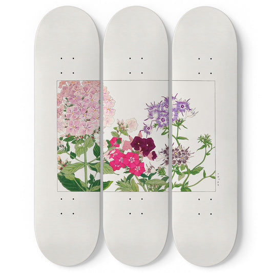 Japanese 3 Piece Skateboard Wall Art Decor Set