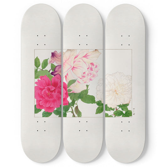 Japanese 3 Piece Skateboard Wall Art Decor Set